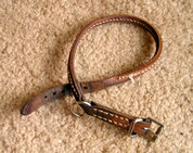 Leather buckle collar with traditional buckle.