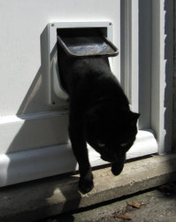 A cat flap in action.